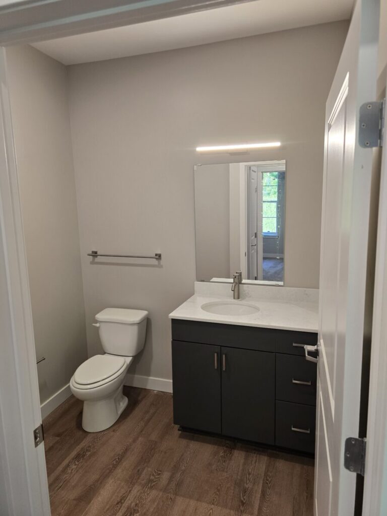 A modern bathroom with a toilet, dark vanity, sink, mirror, towel bar, and wood-style flooring.
